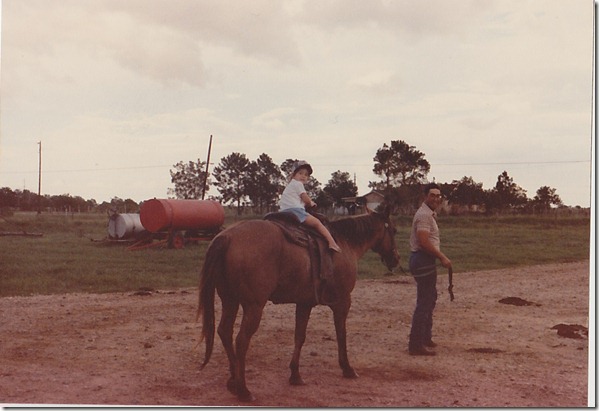 horse2