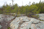Sandstone Glade.jpg