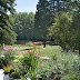 The view from all bedrooms and the Garden Suite includes the large pond.