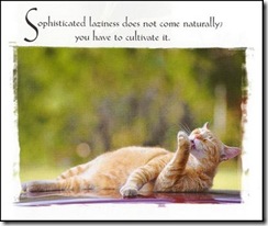 cat_laziness cat_laziness