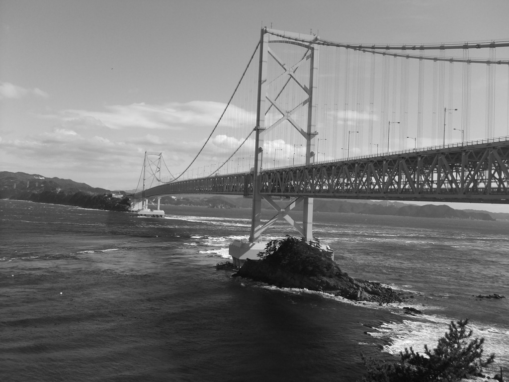 [DSCF64943.jpg]