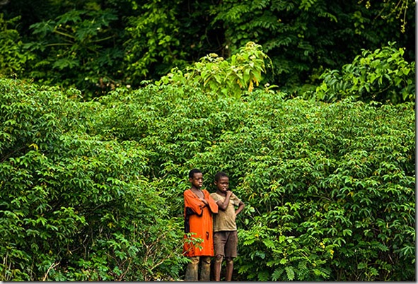 Two boys stand by the edge of the forest in Tano Akakro, Cote d'Ivoire on Saturday June 20, 2009.