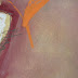 field and forest 2 - new%252520work%252520six.jpg