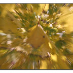 imh_10385.jpg imh_10385.jpg