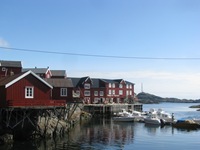 IMG_6019 IMG_6019
