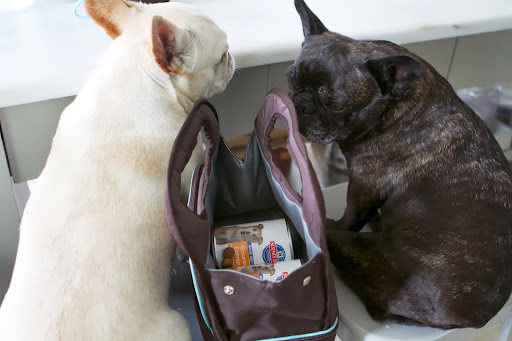 And of course, food went into the upper storage area of the Doggie Day Care Kit.