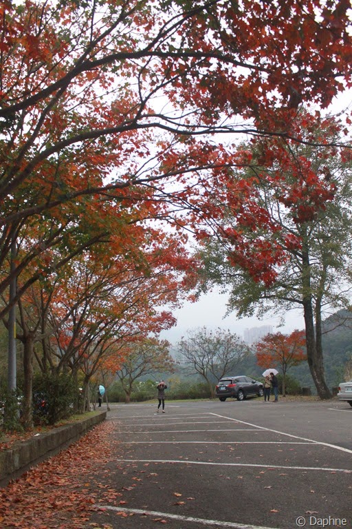 [IMG_6856%255B7%255D.jpg]