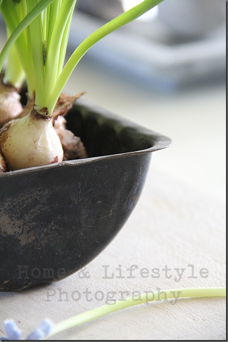 Home & Lifestyle Home & Lifestyle