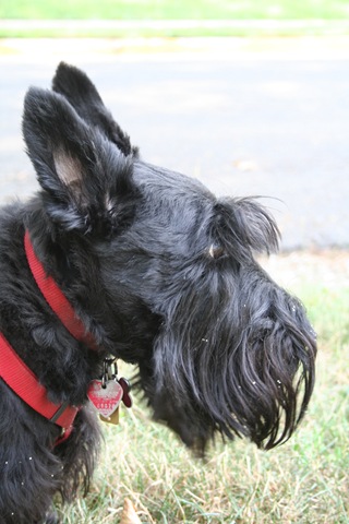 [IMG_7863%255B3%255D.jpg]