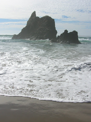 Rocks in the Surf