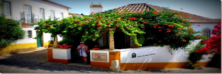 P1080806 P1080806