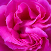 IMG_0298_edited-1.jpg