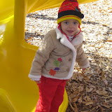 2008 11