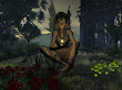 Fairy Wicca