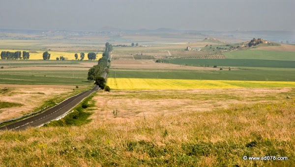 65.jpg