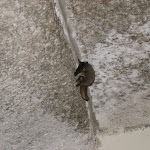 photoIMG_3790.jpg