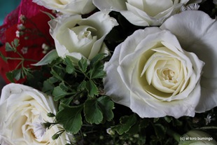 [IMG_0379%255B3%255D.jpg]