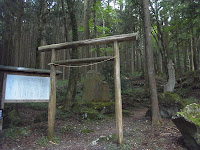 R0011681.JPG Photo