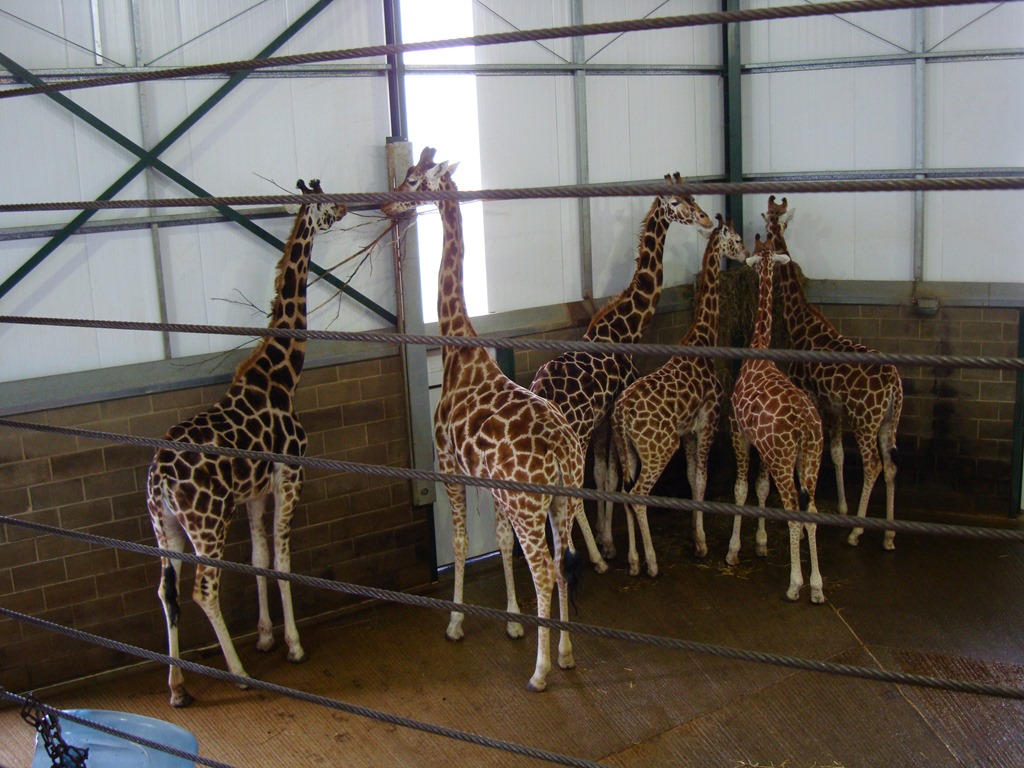 [DSC08118%255B3%255D.jpg]