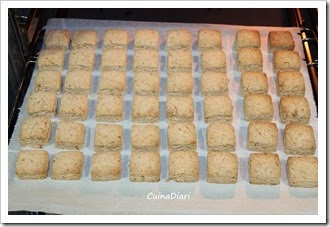 6-7-Polvorons Paco Torreblanca-Cuinadiari-8-2 6-7-Polvorons Paco Torreblanca-Cuinadiari-8-2