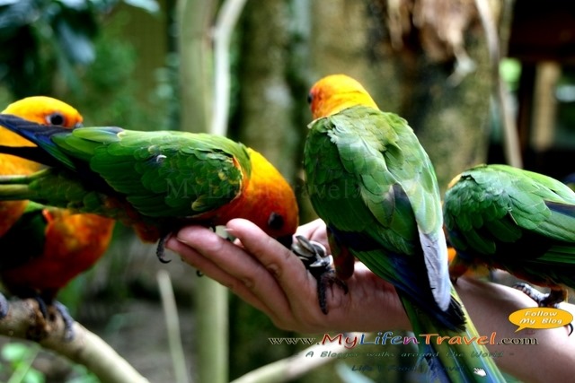 Langkawi Wildlife Park Langkawi Wildlife Park