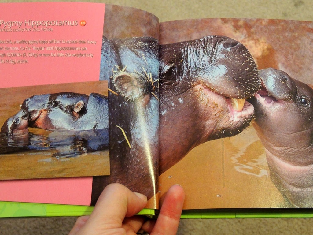 [DSCN1548%255B3%255D.jpg]