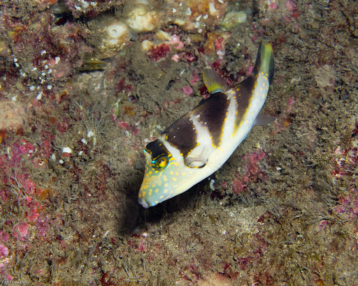 P5053301