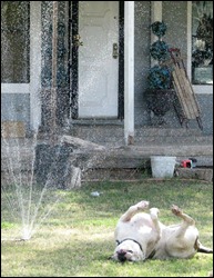 IMG_7458 IMG_7458
