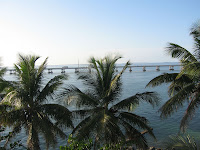 IMG_4615.jpg