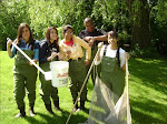 saw mill home page