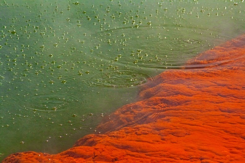 champagne-pool-5 champagne-pool-5
