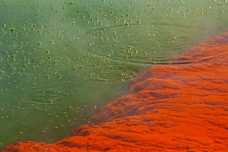 Champagne Pool, New Zealand Champagne-pool-5%25255B2%25255D