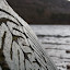 IMG_3724.jpg IMG_3724.jpg