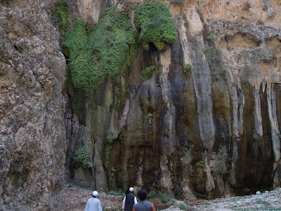 DSCN3876.jpg