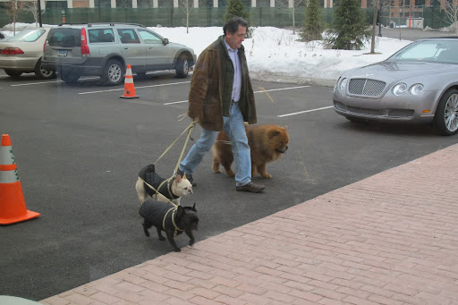 Uncle Carlos!  Let's hurry!  We don't want to be late for the book signing!  Our public is waiting for us!