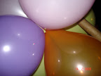 DSC04411