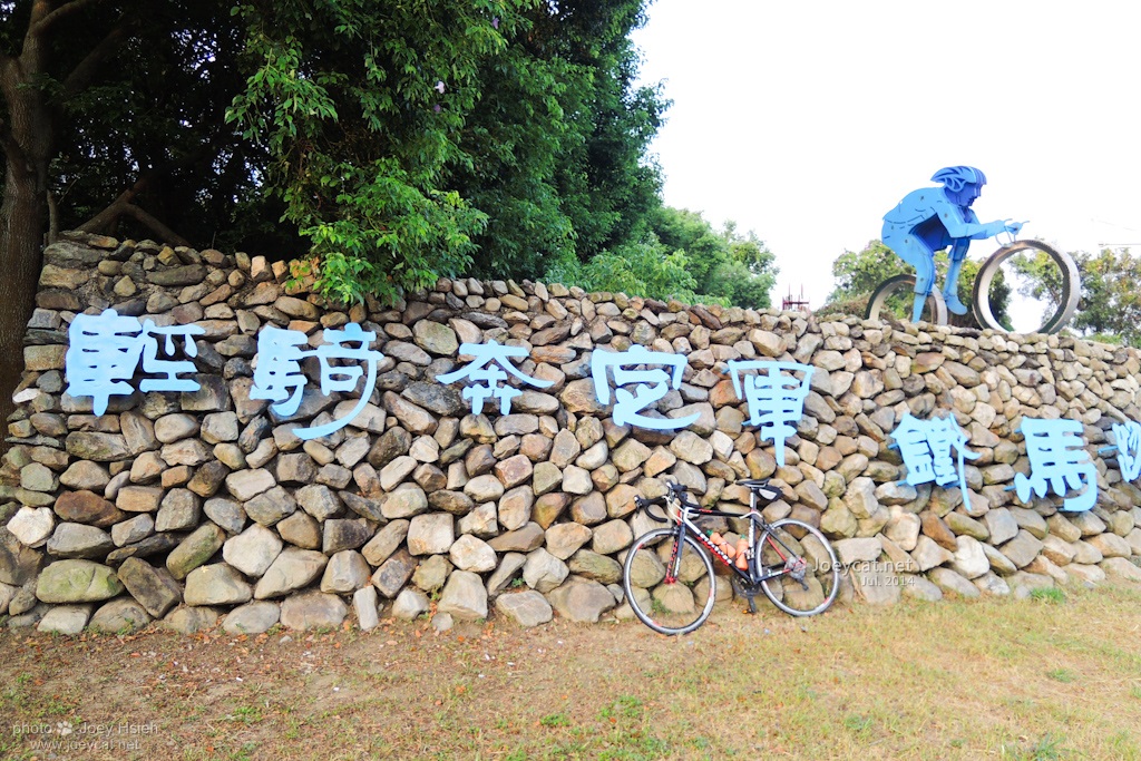 土鳳梨 139縣道 微熱山丘