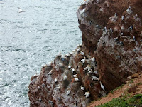 Helgoland 2007
