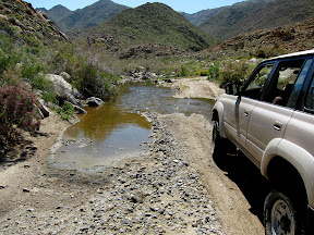 First time I have seen water this far north in Carrizo Gorge
