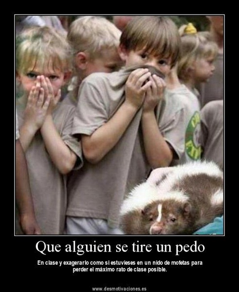 [931511331118217mofetas1%255B2%255D.jpg]