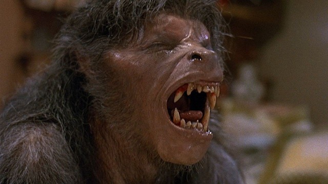 [american-werewolf-1%255B3%255D.jpg]