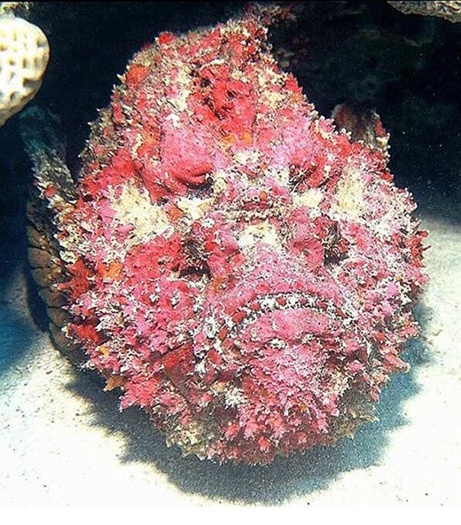 [clip_image010%255B4%255D%255B3%255D.jpg]