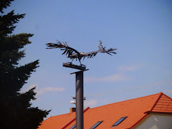 Statue der Rohrweide (Circus aeruginosus )