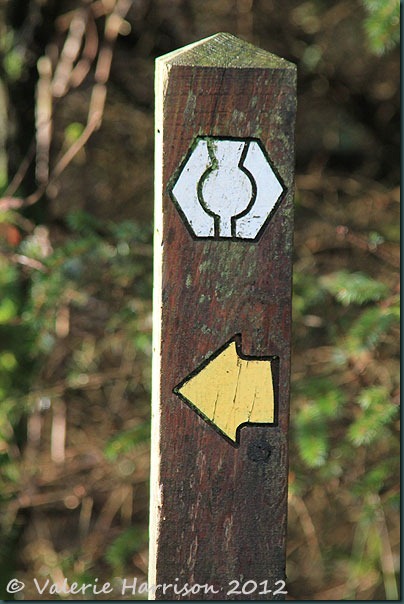 2-Southern-Upland-Way-sign
