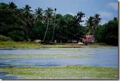 DSC_0046 DSC_0046