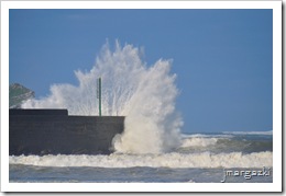DSC_3769 DSC_3769