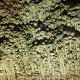 Detalhe - Carlsbad Caverns - Carlsbad, NM