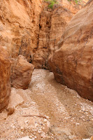 IMG_8474.JPG Photo