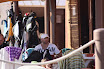 sh120101_036_resize.JPG