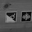 IMG_0772.JPG